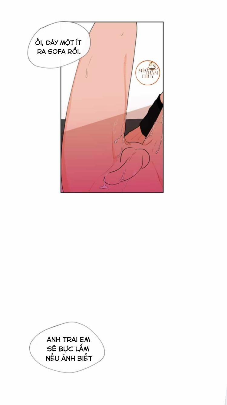 Vụ Tai Tiếng Trái Chuối SS1 15 trang 18