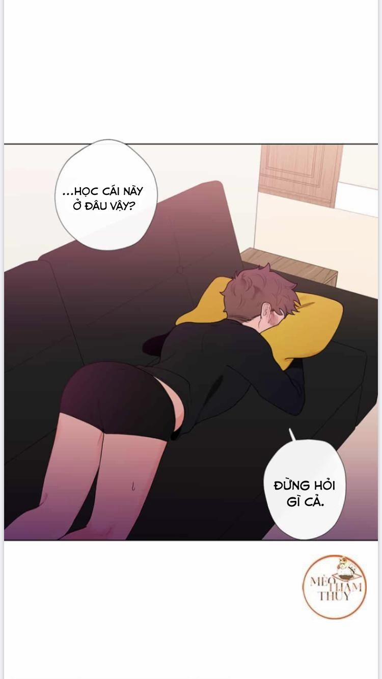 Vụ Tai Tiếng Trái Chuối SS1 15 trang 2