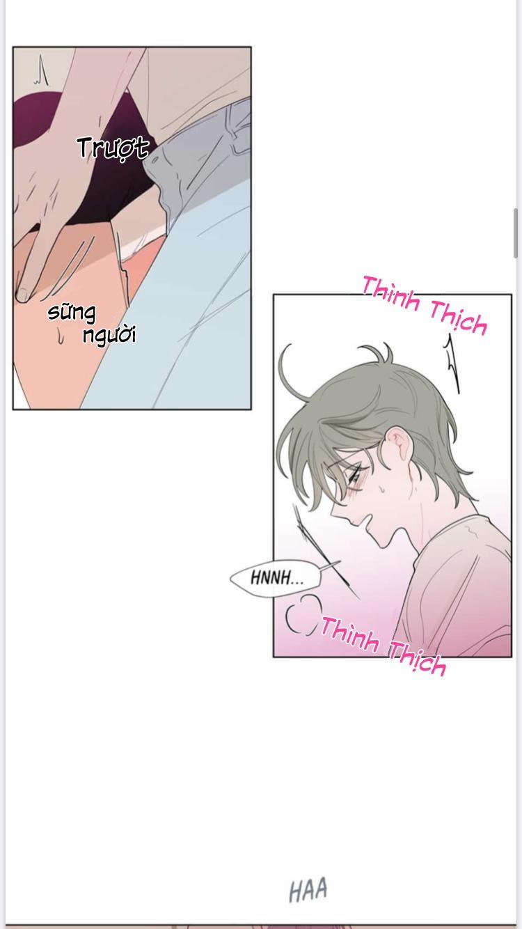 Vụ Tai Tiếng Trái Chuối SS1 15 trang 4