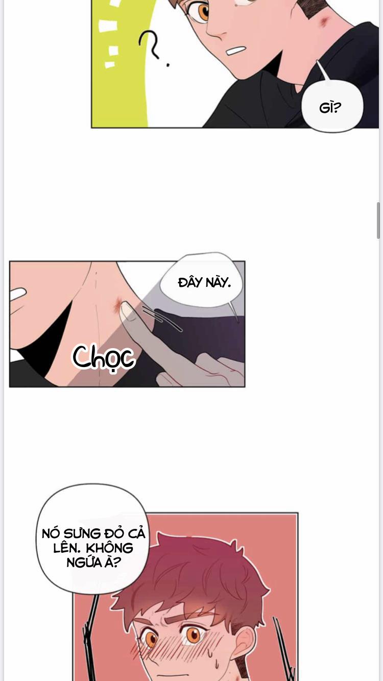 Vụ Tai Tiếng Trái Chuối SS1 17 trang 8