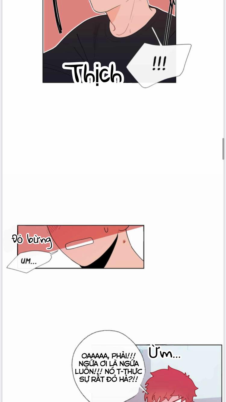 Vụ Tai Tiếng Trái Chuối SS1 17 trang 9