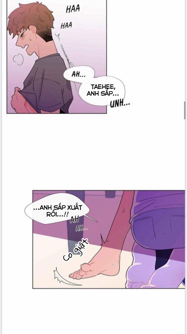 Vụ Tai Tiếng Trái Chuối SS1 18 trang 7