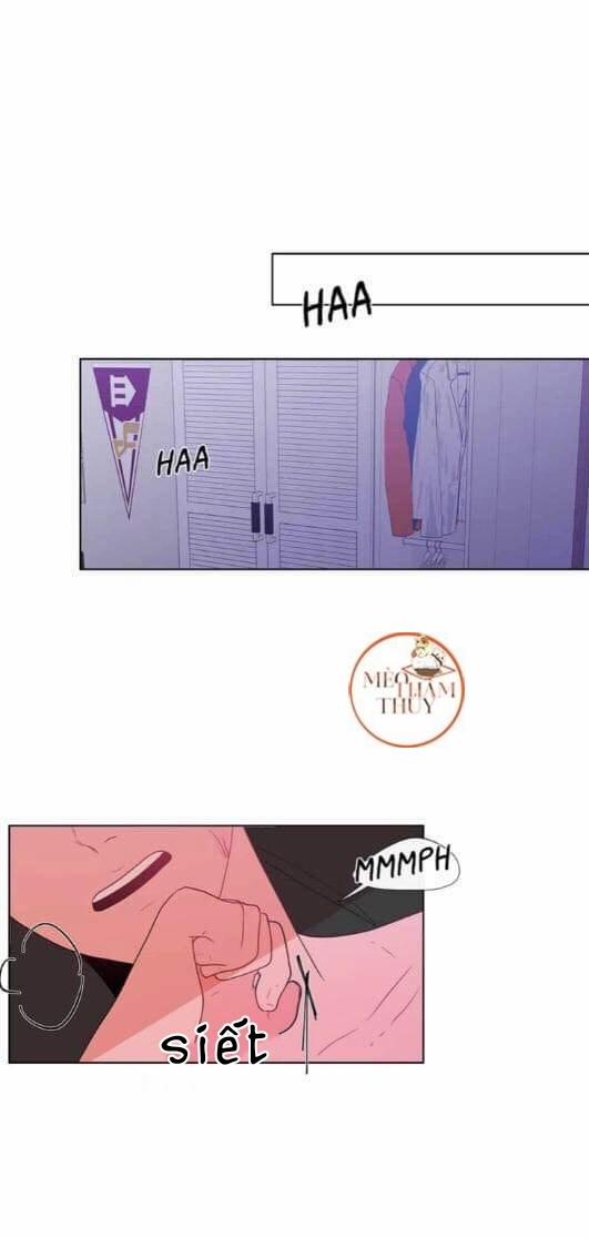 Vụ Tai Tiếng Trái Chuối SS1 19 trang 17