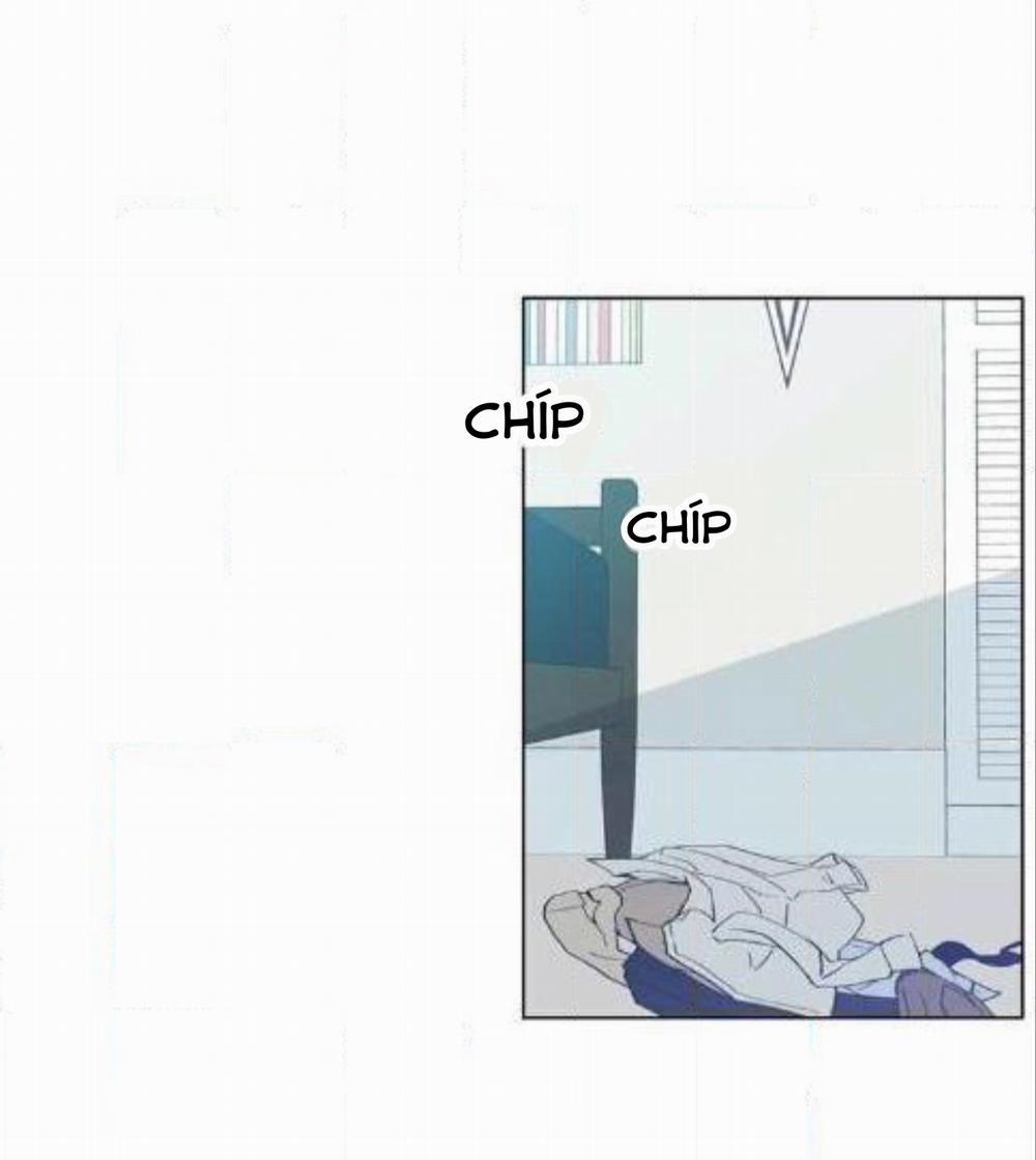 Vụ Tai Tiếng Trái Chuối SS1 20 trang 1