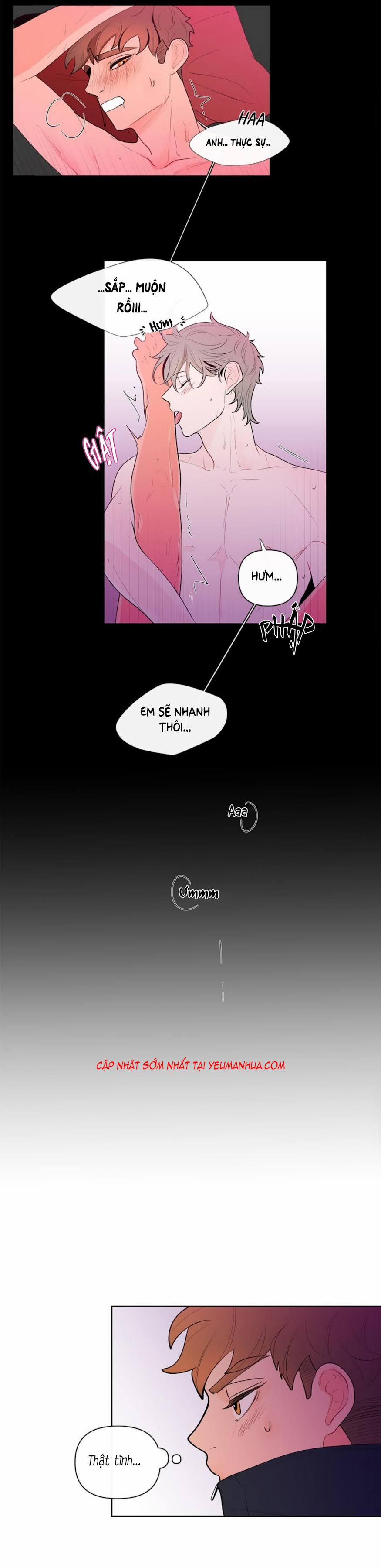 Vụ Tai Tiếng Trái Chuối SS1 27 trang 6