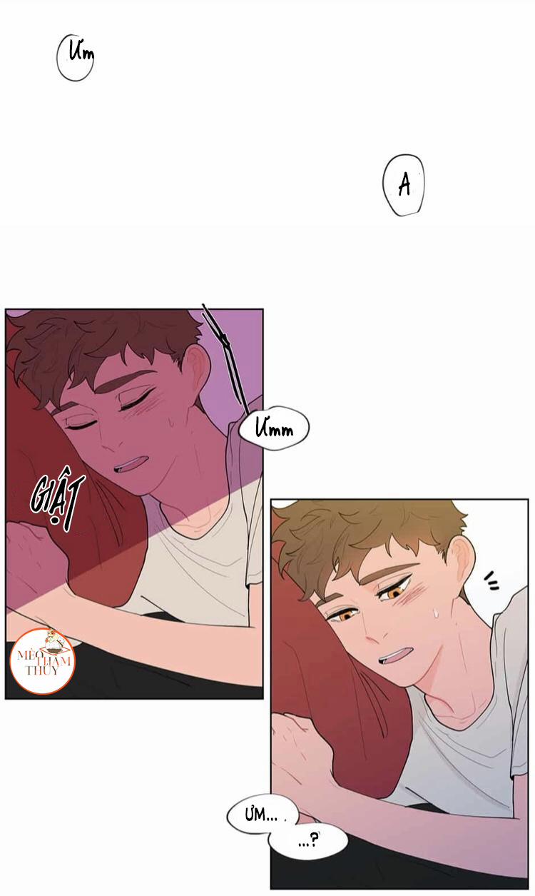 Vụ Tai Tiếng Trái Chuối SS1 9 trang 22