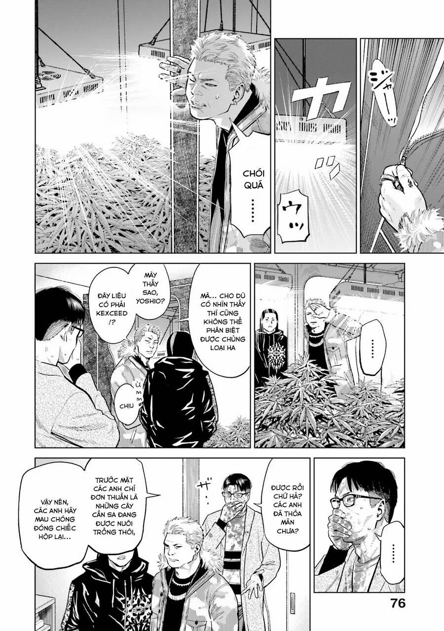 Vua Cần Sa 11 trang 11