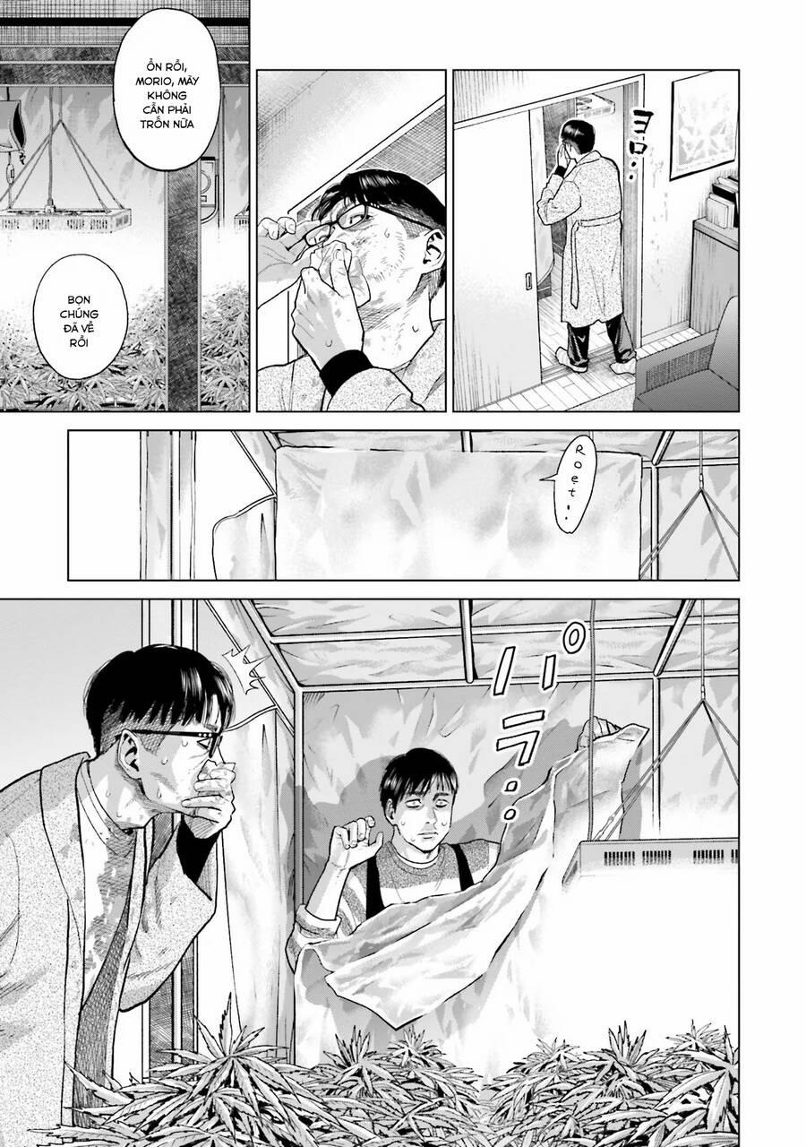 Vua Cần Sa 11 trang 8