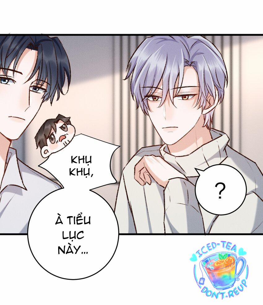 Vua hình tượng 21 trang 12