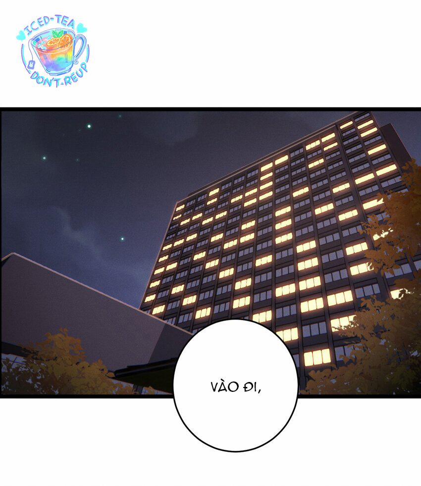 Vua hình tượng 6 trang 0