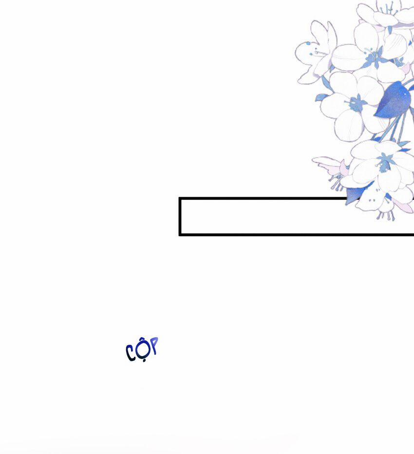 Vua hình tượng 6 trang 25