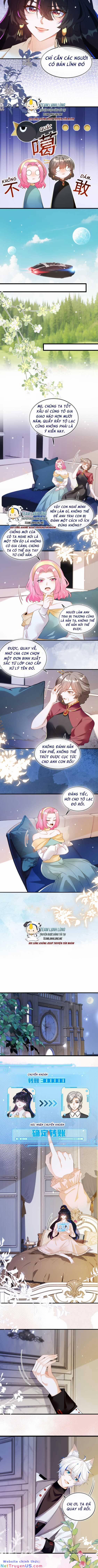 Vừa Mới Huỷ Hôn Đã Bị Dã Hồ Ly Lừa Kết Hôn 10 trang 5