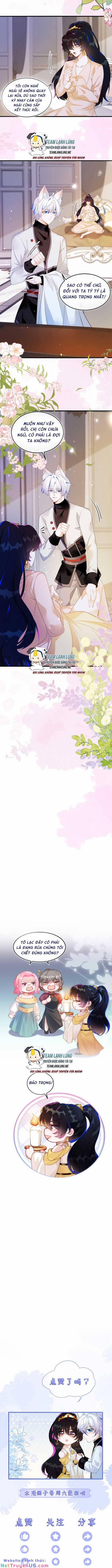 Vừa Mới Huỷ Hôn Đã Bị Dã Hồ Ly Lừa Kết Hôn 10 trang 6