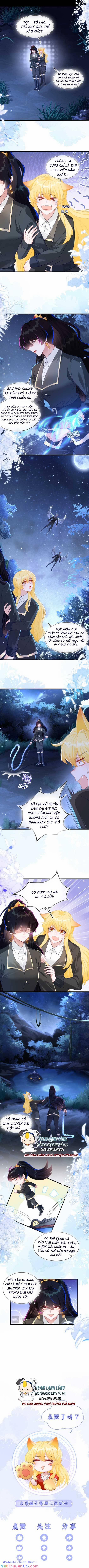 Vừa Mới Huỷ Hôn Đã Bị Dã Hồ Ly Lừa Kết Hôn 14 trang 6