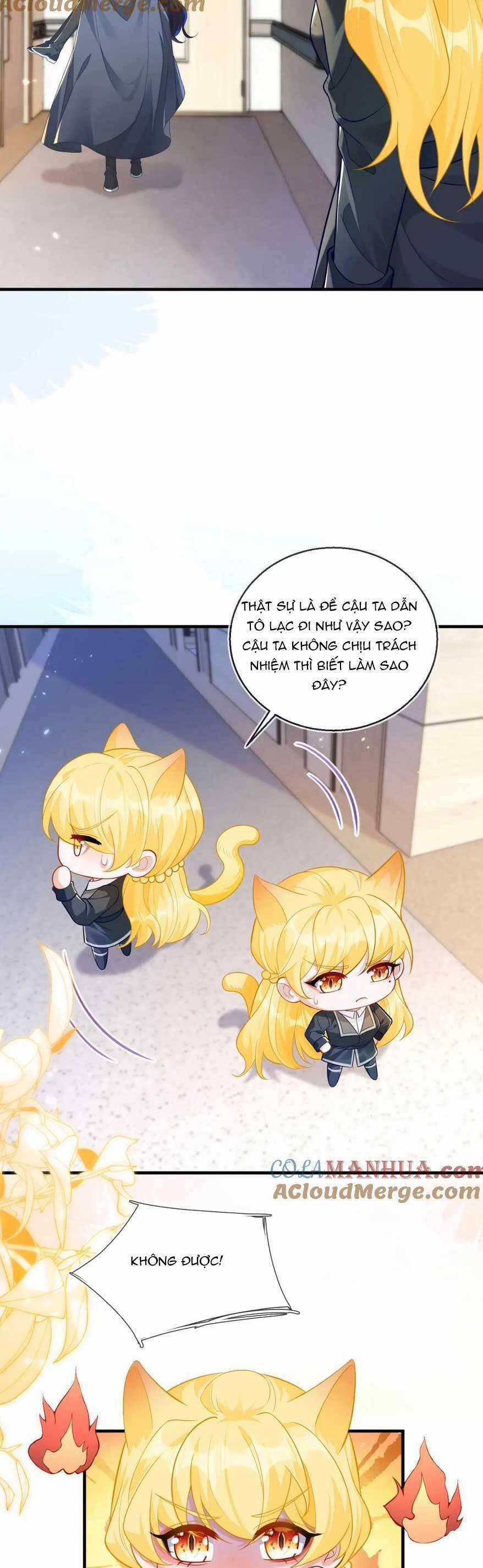 Vừa Mới Huỷ Hôn Đã Bị Dã Hồ Ly Lừa Kết Hôn 20 trang 11