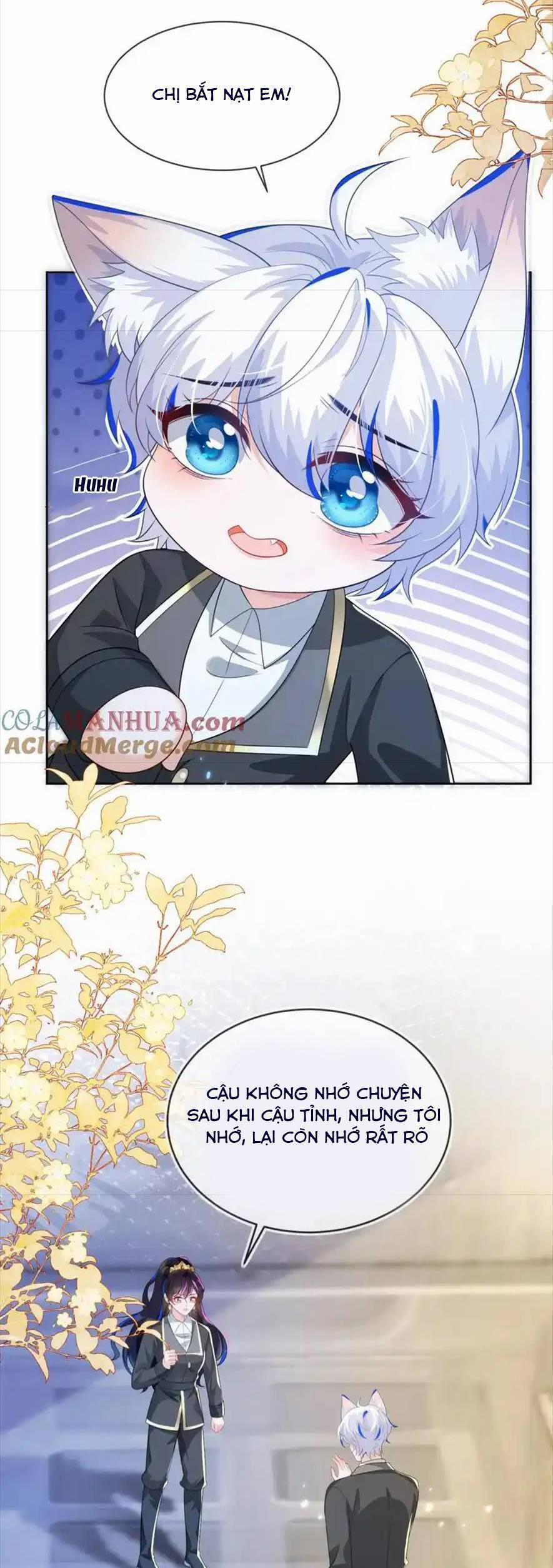 Vừa Mới Huỷ Hôn Đã Bị Dã Hồ Ly Lừa Kết Hôn 25 trang 15