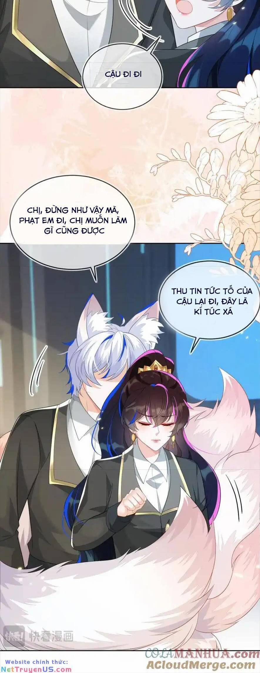 Vừa Mới Huỷ Hôn Đã Bị Dã Hồ Ly Lừa Kết Hôn 25 trang 21