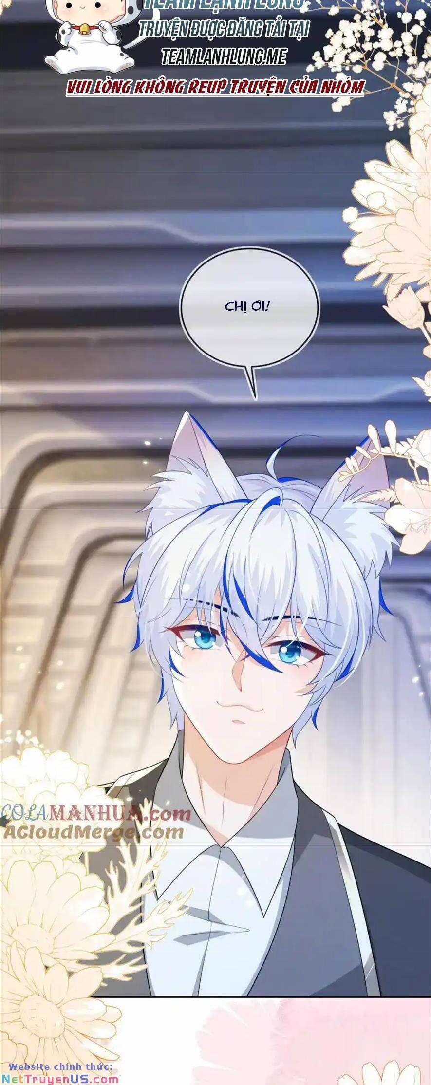 Vừa Mới Huỷ Hôn Đã Bị Dã Hồ Ly Lừa Kết Hôn 25 trang 5