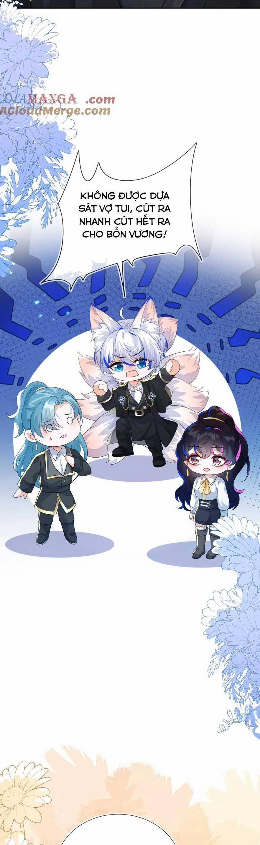 Vừa Mới Huỷ Hôn Đã Bị Dã Hồ Ly Lừa Kết Hôn 48 trang 5