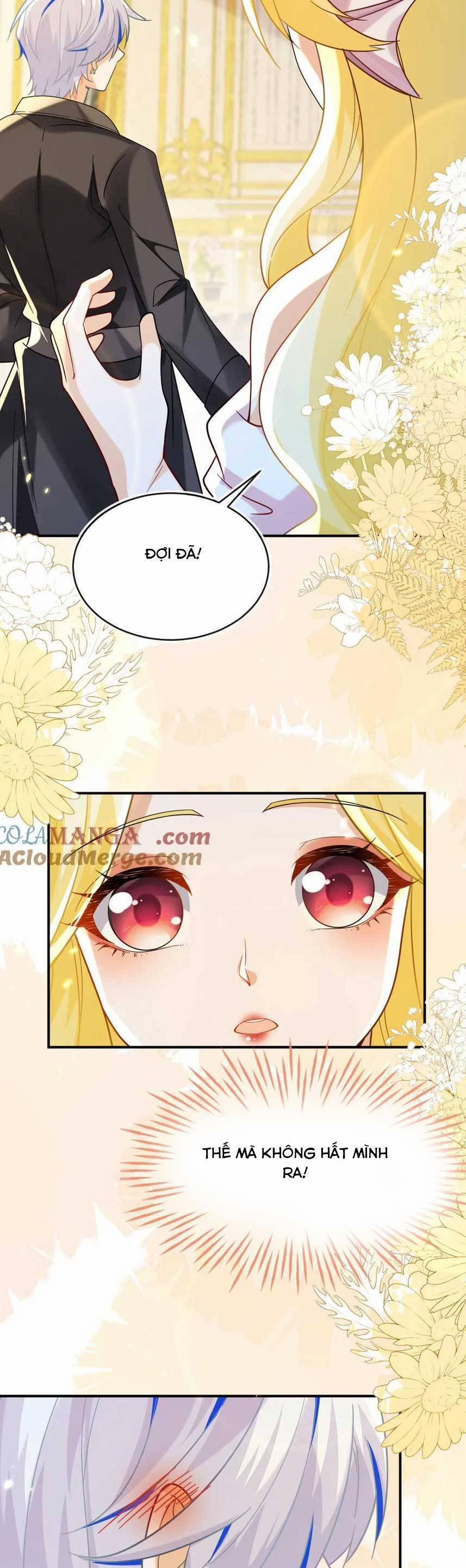 Vừa Mới Huỷ Hôn Đã Bị Dã Hồ Ly Lừa Kết Hôn 49 trang 13