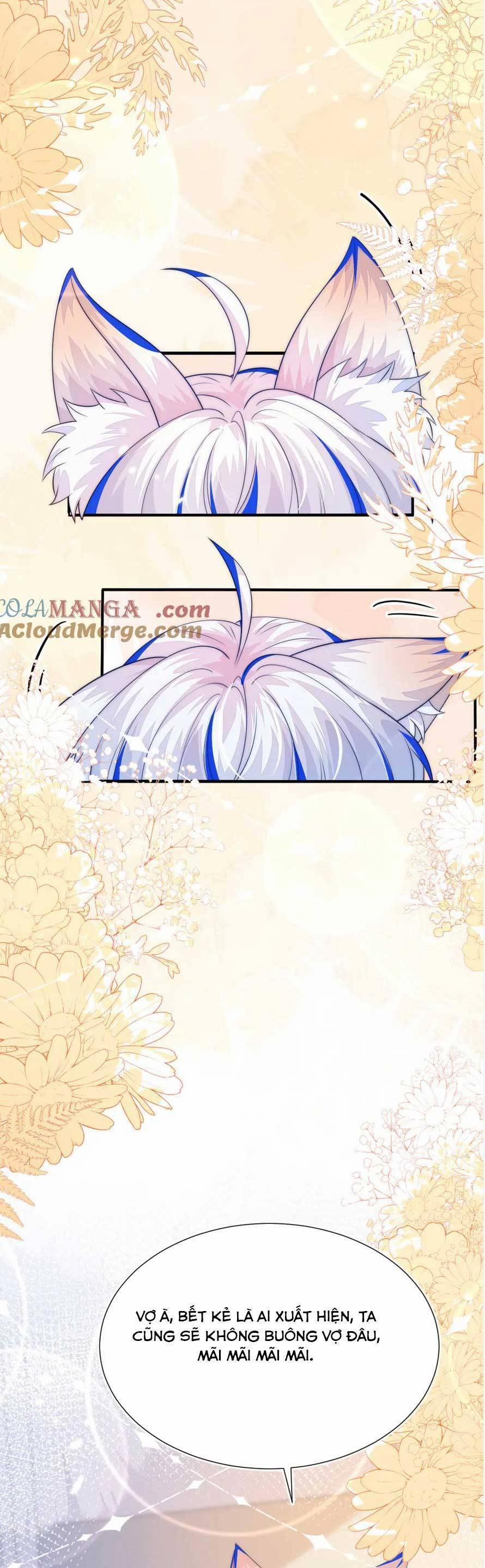 Vừa Mới Huỷ Hôn Đã Bị Dã Hồ Ly Lừa Kết Hôn 52 trang 40