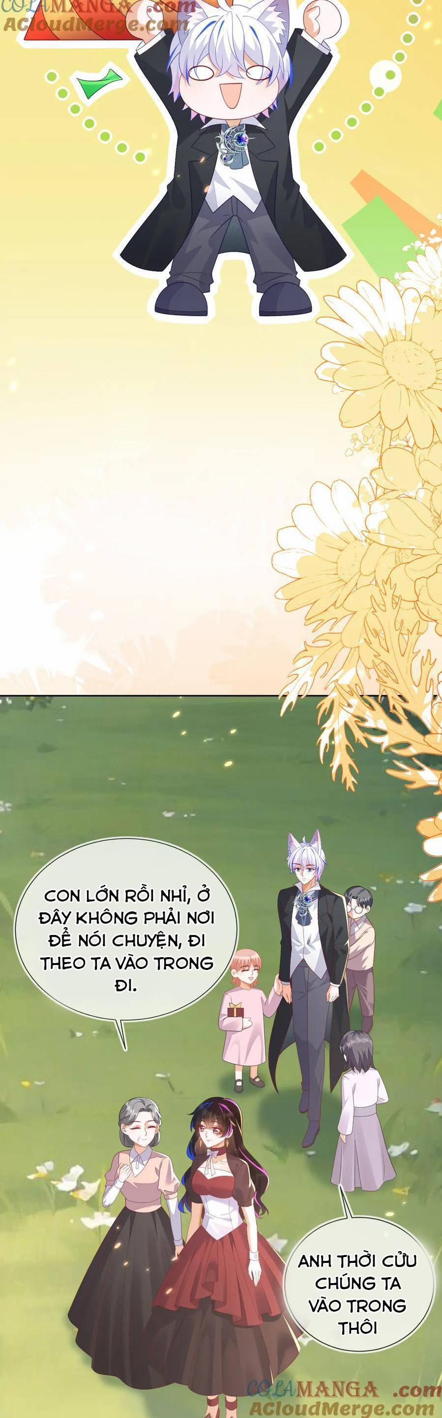 Vừa Mới Huỷ Hôn Đã Bị Dã Hồ Ly Lừa Kết Hôn 56 trang 15