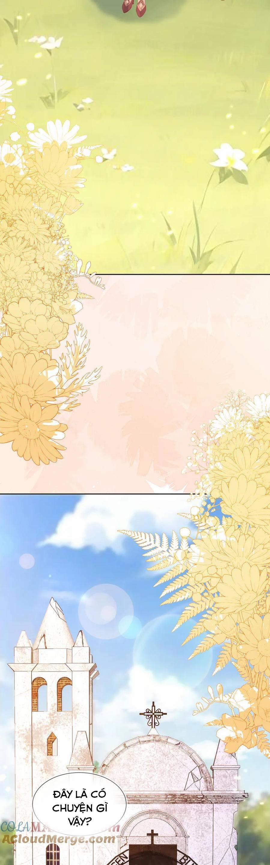 Vừa Mới Huỷ Hôn Đã Bị Dã Hồ Ly Lừa Kết Hôn 56 trang 16