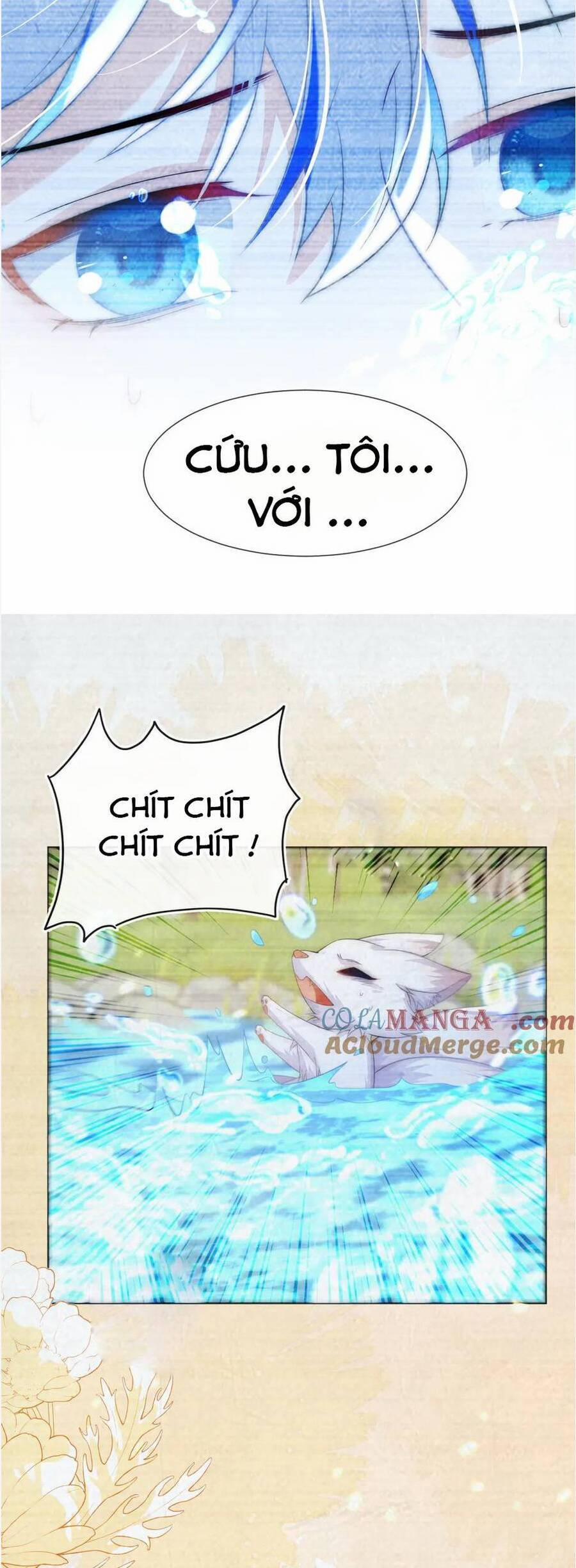 Vừa Mới Huỷ Hôn Đã Bị Dã Hồ Ly Lừa Kết Hôn 56 trang 33