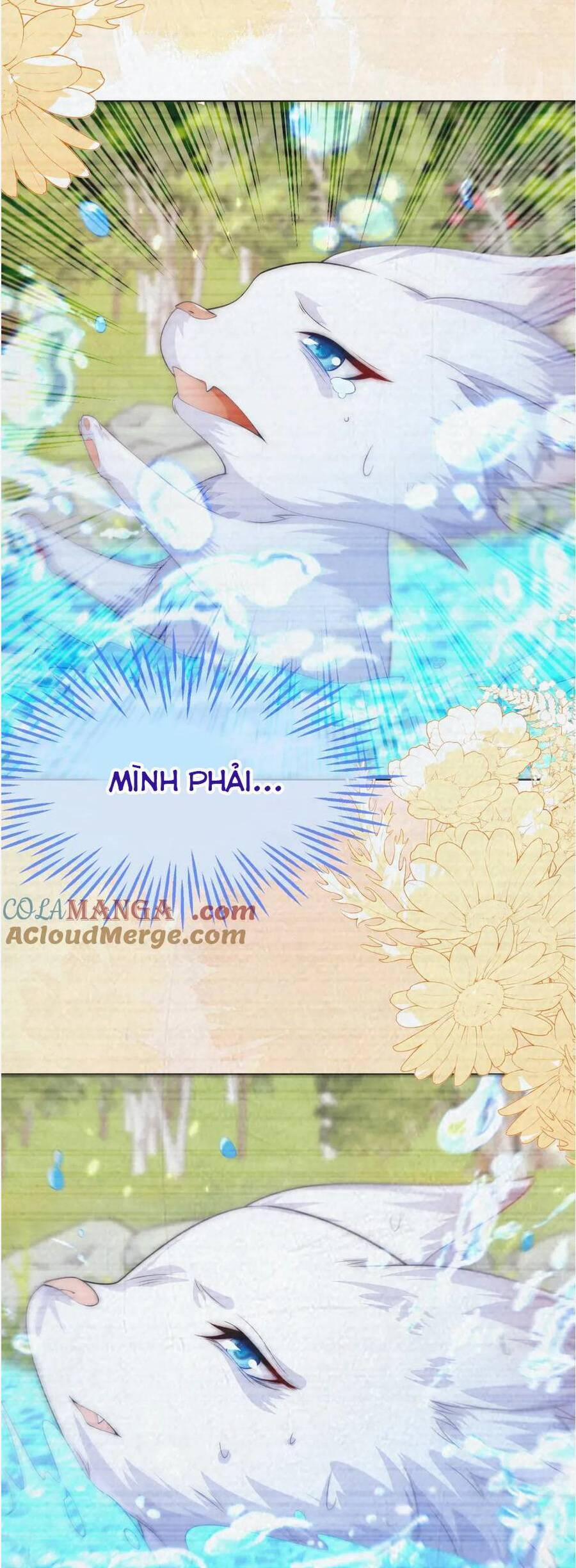 Vừa Mới Huỷ Hôn Đã Bị Dã Hồ Ly Lừa Kết Hôn 56 trang 34