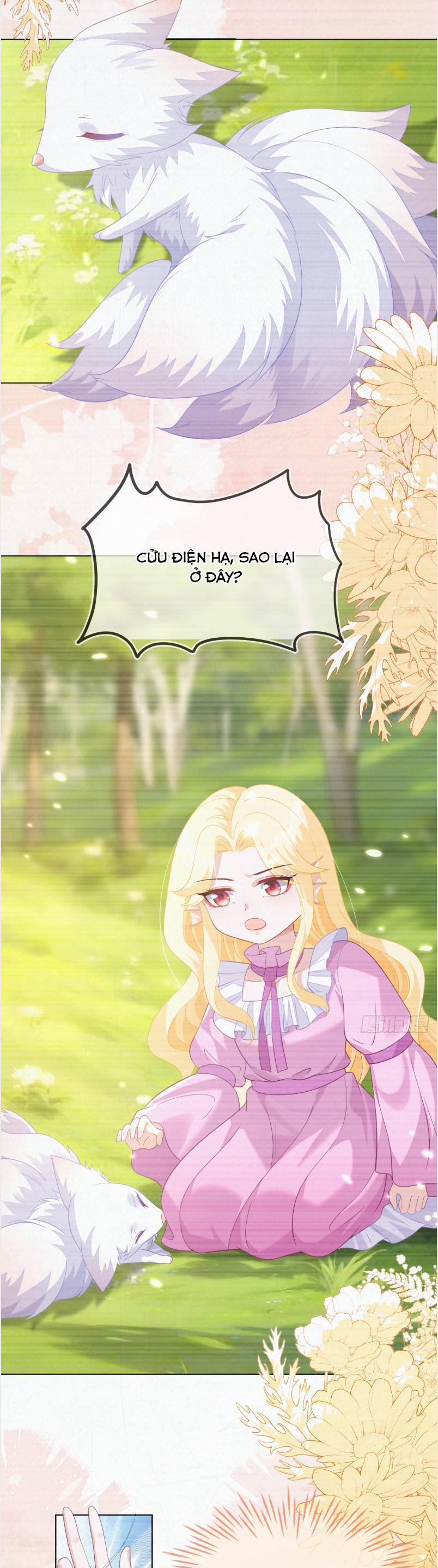 Vừa Mới Huỷ Hôn Đã Bị Dã Hồ Ly Lừa Kết Hôn 57 trang 11
