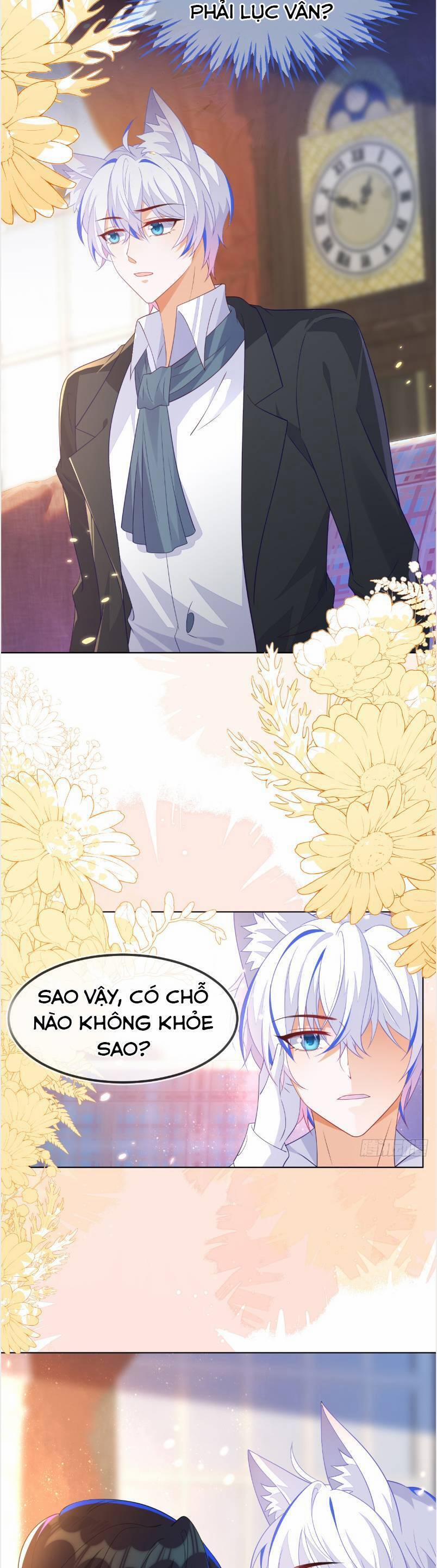 Vừa Mới Huỷ Hôn Đã Bị Dã Hồ Ly Lừa Kết Hôn 57 trang 17