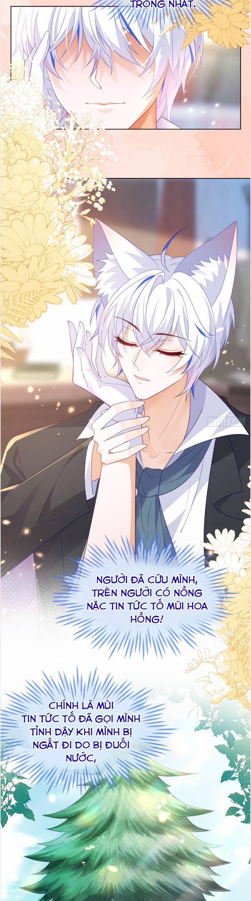 Vừa Mới Huỷ Hôn Đã Bị Dã Hồ Ly Lừa Kết Hôn 57 trang 19