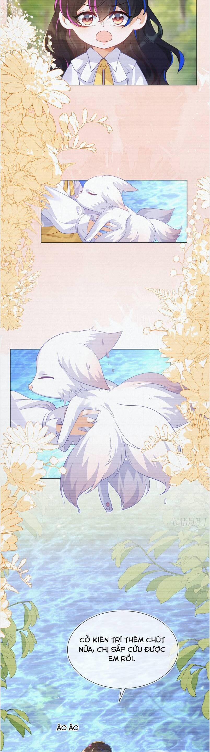 Vừa Mới Huỷ Hôn Đã Bị Dã Hồ Ly Lừa Kết Hôn 57 trang 4