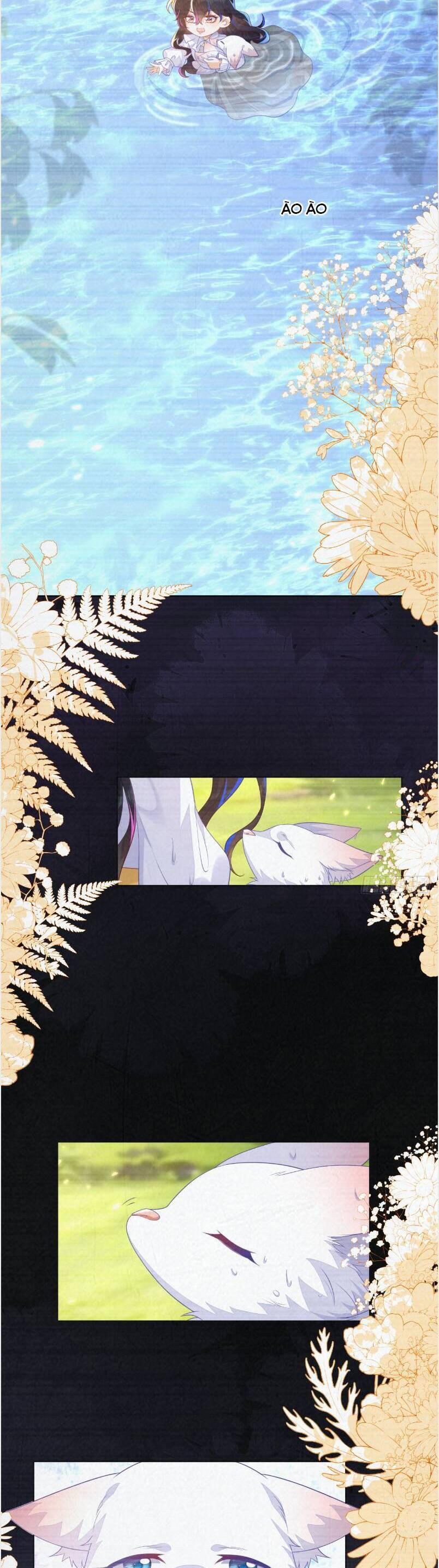 Vừa Mới Huỷ Hôn Đã Bị Dã Hồ Ly Lừa Kết Hôn 57 trang 5