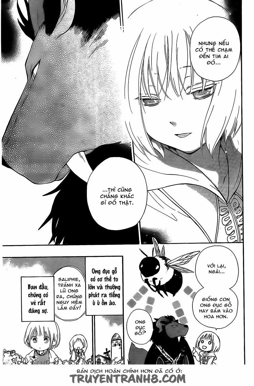 Vua Quái Vật Và Nàng Công Chúa Hiến Tế 2 trang 13