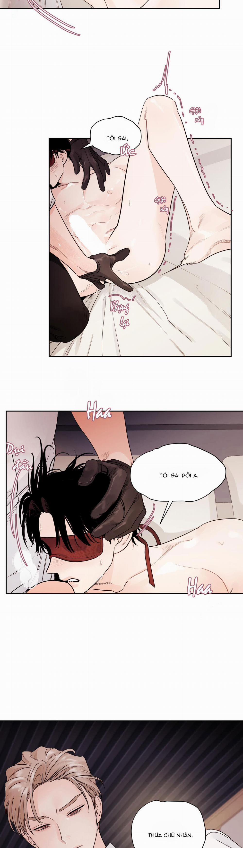 Vùng Bóng Tối 11 trang 15