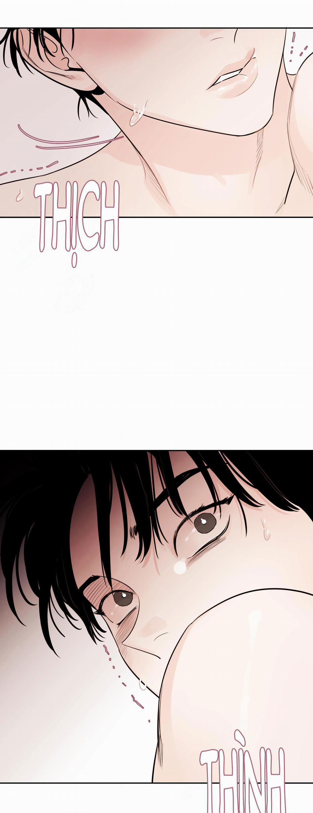 Vùng Bóng Tối 11 trang 23