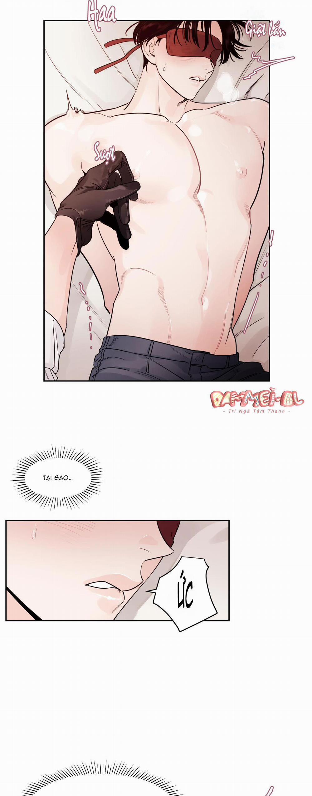 Vùng Bóng Tối 11 trang 5