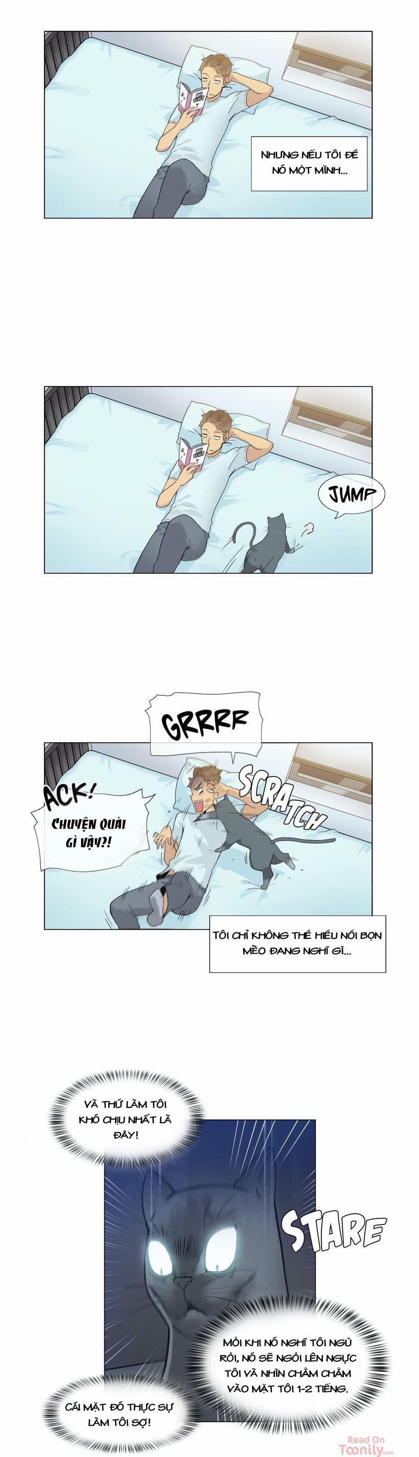 Vùng Đất Kỳ Diệu 31 trang 17