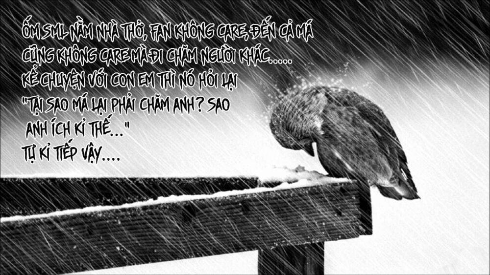 Vùng Đất Ma Pháp 111 trang 21