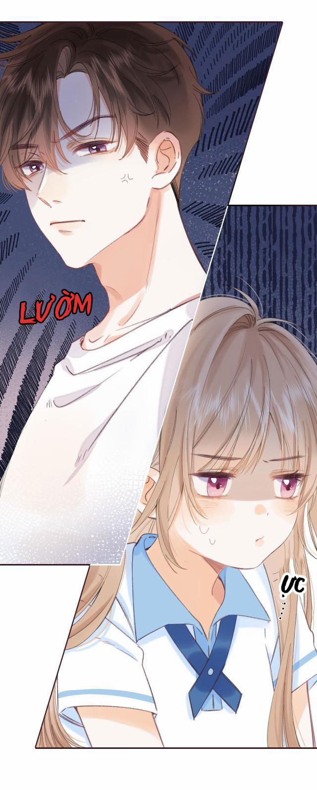 Vụng Trộm Không Thể Giấu 3 trang 12