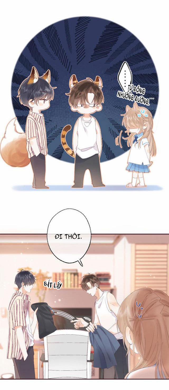 Vụng Trộm Không Thể Giấu 3 trang 13