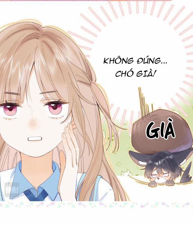 Vụng Trộm Không Thể Giấu 4 trang 10