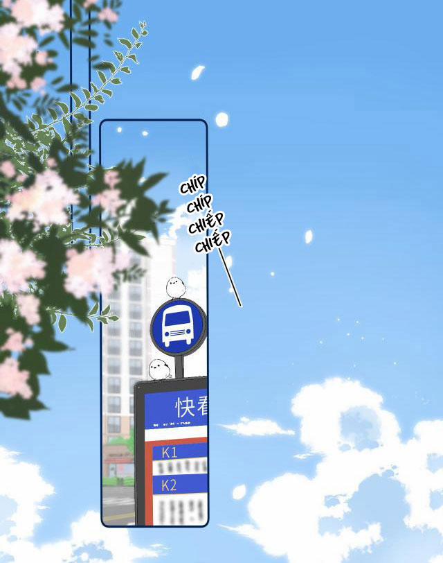 Vụng Trộm Không Thể Giấu 4 trang 3