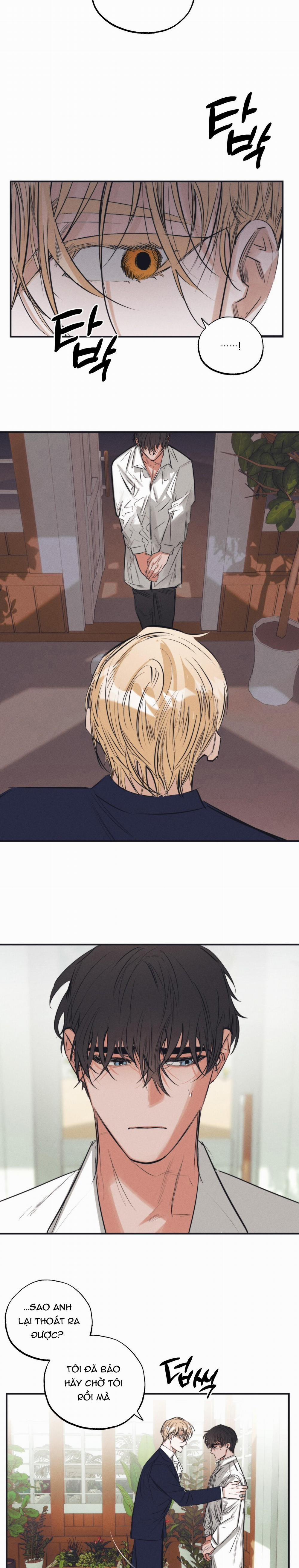 Vườn Địa Đàng Của Esther 4 trang 12