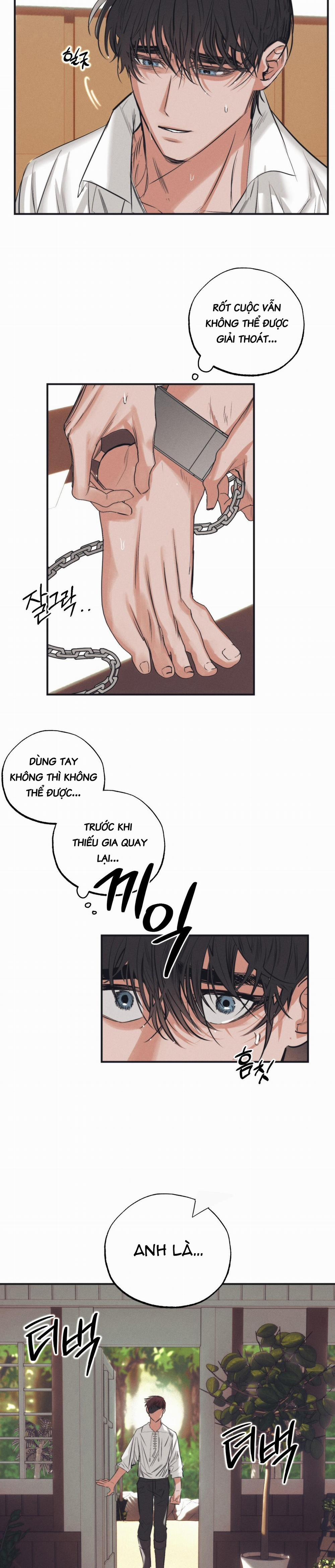 Vườn Địa Đàng Của Esther 4 trang 4