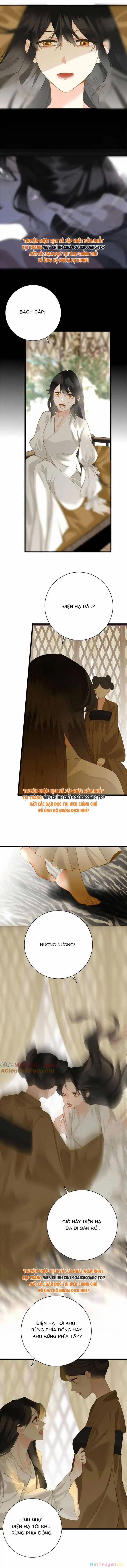 Vương Gia Hắn Luôn Nghĩ Tôi Yêu Hắn Đến Nghiện 91 trang 8