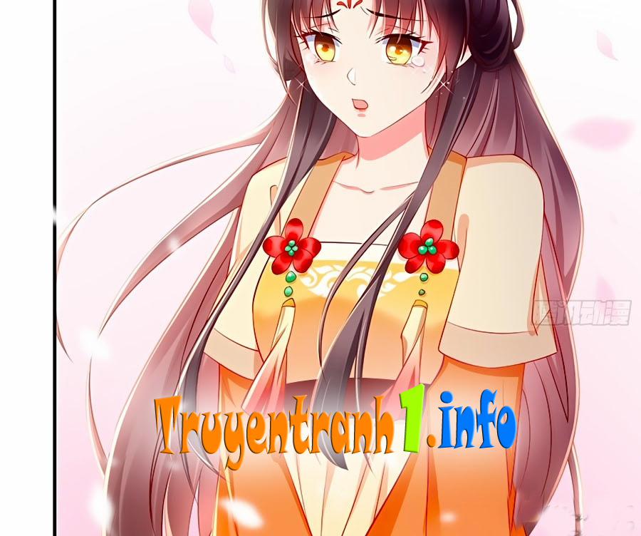 Vương Phi Là Đoá Bạch Liên Hoa 2 trang 11