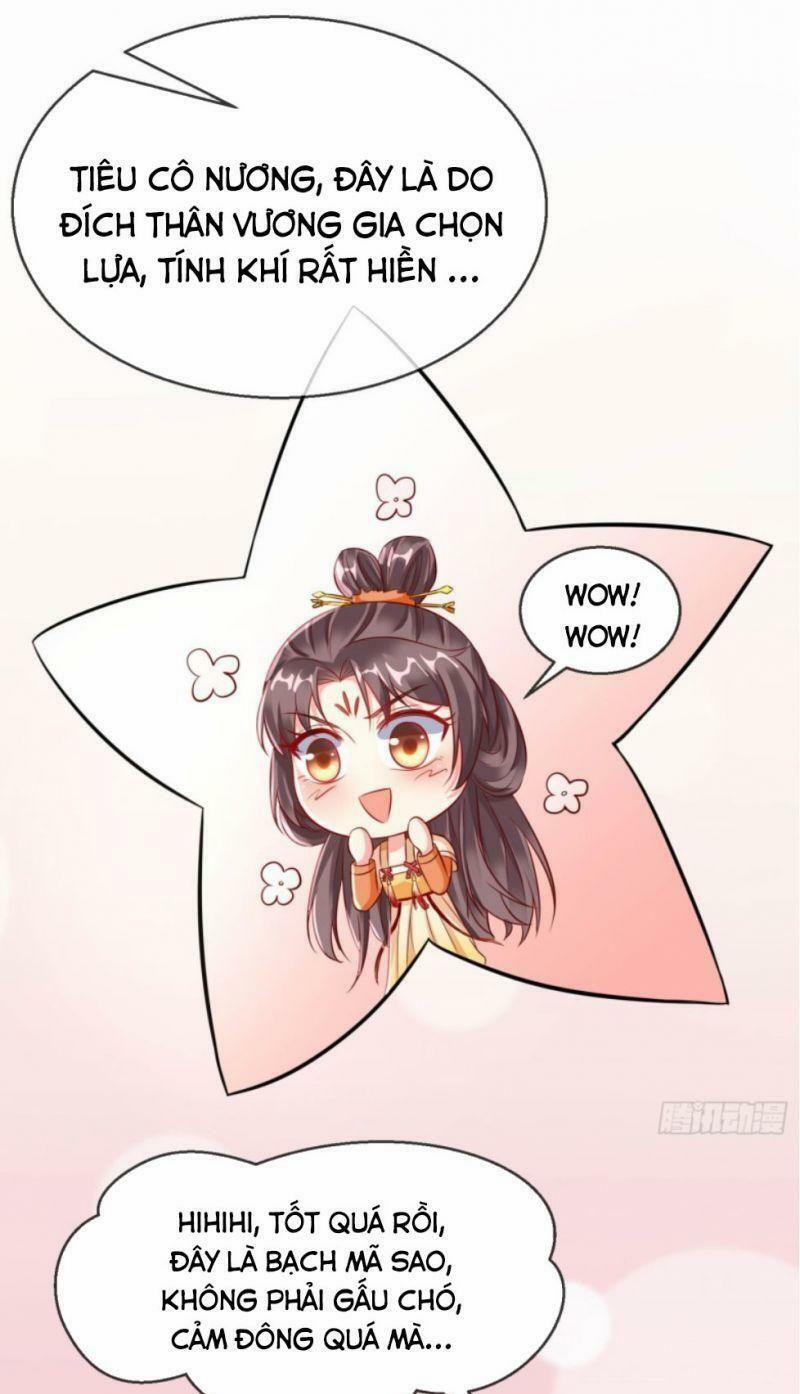 Vương Phi Là Đoá Bạch Liên Hoa 22 trang 1