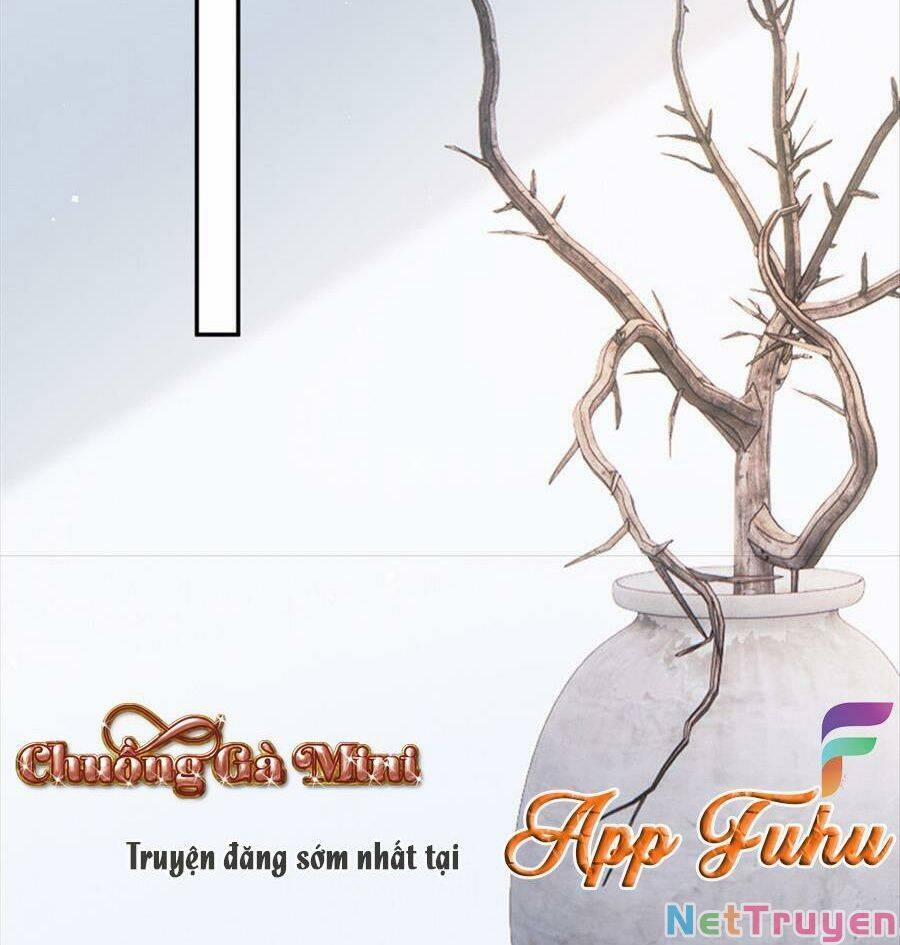 Vượt Rào Trêu Chọc 125 trang 11